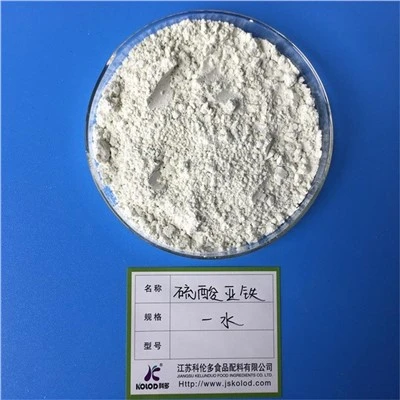 Ferrous Sulfate Monohydrate